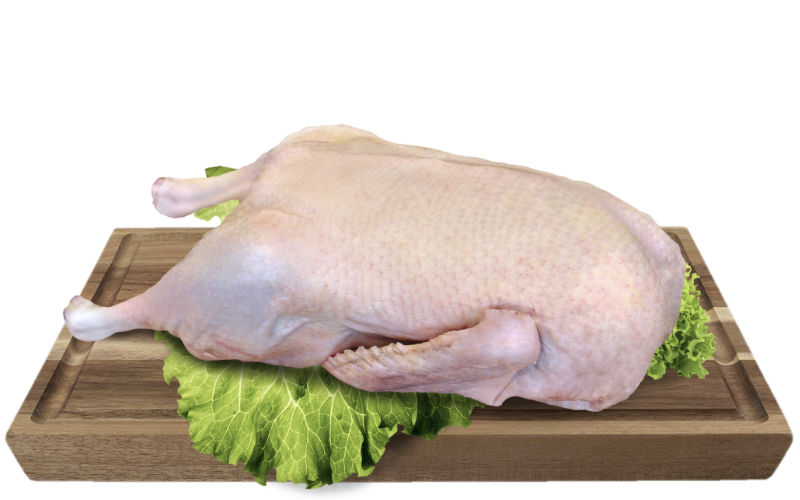 Rață întreagă